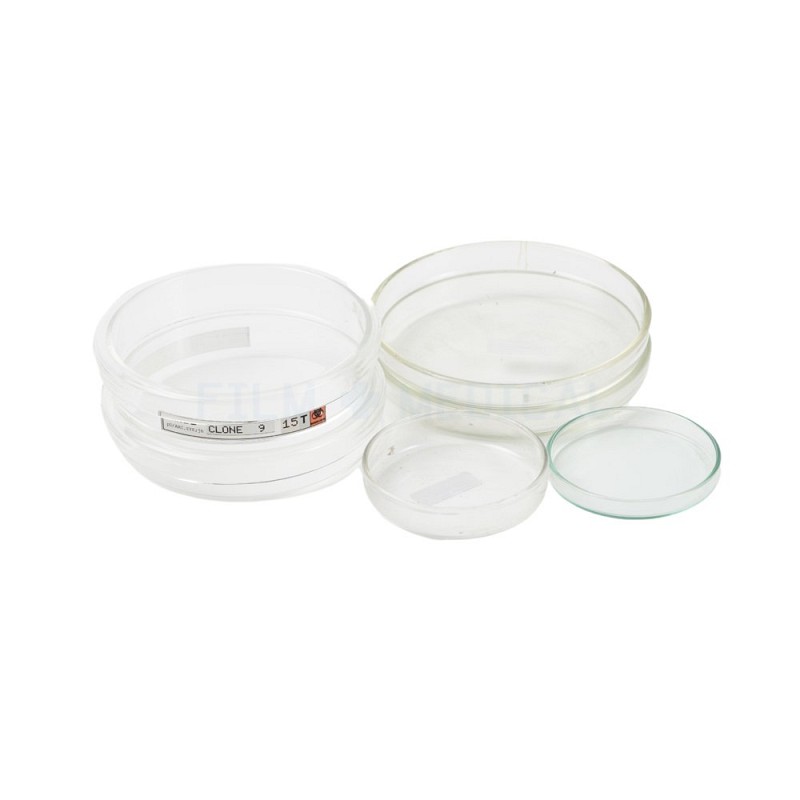 Glass Petri Dishes Priced Individually 